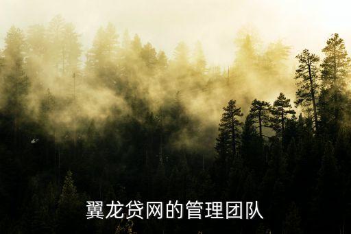翼龍貸網(wǎng)的管理團(tuán)隊(duì)