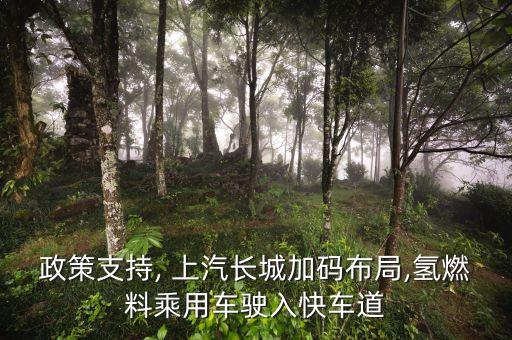 上汽集團拓展計劃