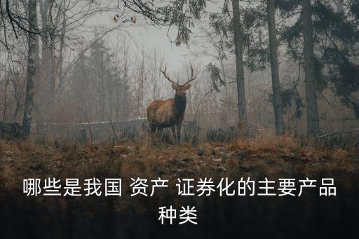 哪些是我國 資產(chǎn) 證券化的主要產(chǎn)品種類