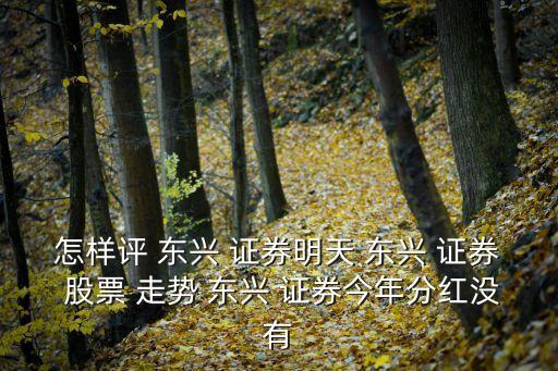 怎樣評(píng) 東興 證券明天 東興 證券 股票 走勢(shì) 東興 證券今年分紅沒(méi)有