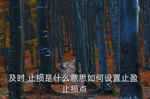 及時(shí) 止損是什么意思如何設(shè)置止盈 止損點(diǎn)