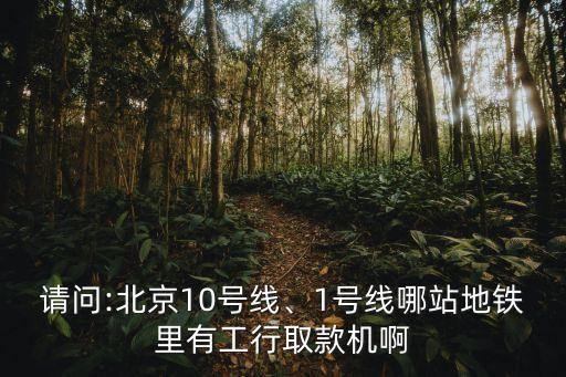 請(qǐng)問:北京10號(hào)線、1號(hào)線哪站地鐵里有工行取款機(jī)啊