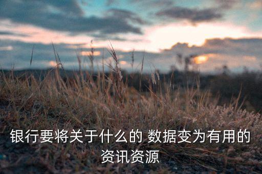 商業(yè)銀行信息化大數(shù)據(jù),我國商業(yè)銀行不良貸款率數(shù)據(jù)