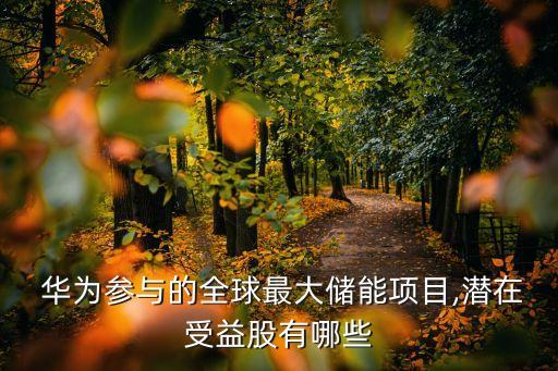  華為參與的全球最大儲能項(xiàng)目,潛在受益股有哪些