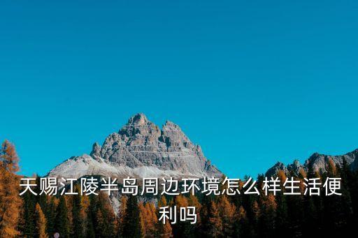  天賜江陵半島周邊環(huán)境怎么樣生活便利嗎