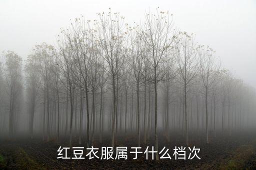 紅豆集團總經(jīng)理