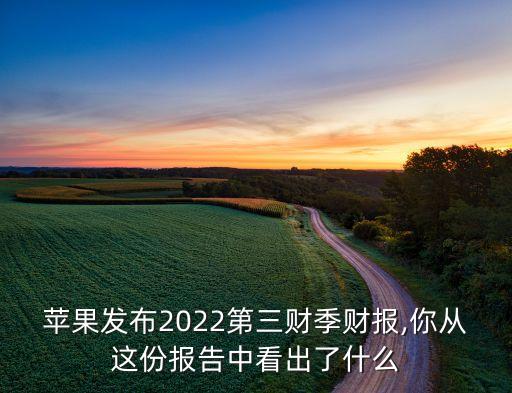 蘋果發(fā)布2022第三財季財報,你從這份報告中看出了什么