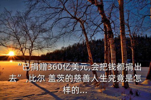 蓋茨基金會(huì)一諾,比爾蓋茨基金會(huì)的目的