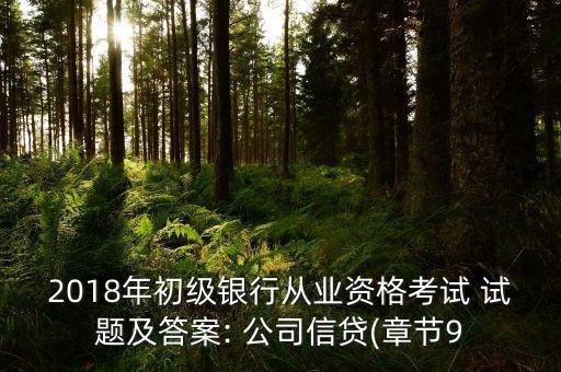 2018年初級銀行從業(yè)資格考試 試題及答案: 公司信貸(章節(jié)9