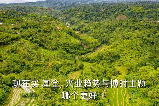 現(xiàn)在買 基金, 興業(yè)趨勢(shì)與博時(shí)主題哪個(gè)更好