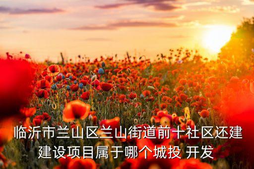 臨沂未來科技城開發(fā)建設集團有限公司