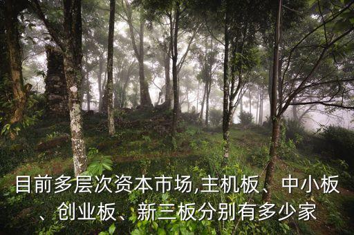 目前多層次資本市場(chǎng),主機(jī)板、中小板、創(chuàng)業(yè)板、新三板分別有多少家