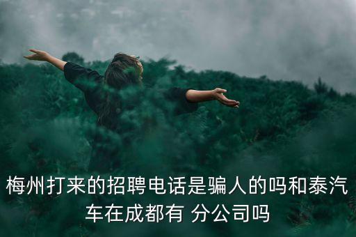 梅州打來(lái)的招聘電話是騙人的嗎和泰汽車在成都有 分公司嗎