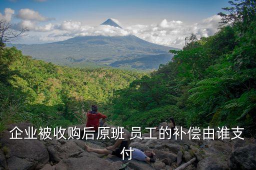 企業(yè)被收購(gòu)后原班 員工的補(bǔ)償由誰支付