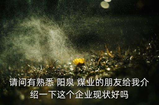 請問有熟悉 陽泉 煤業(yè)的朋友給我介紹一下這個企業(yè)現(xiàn)狀好嗎