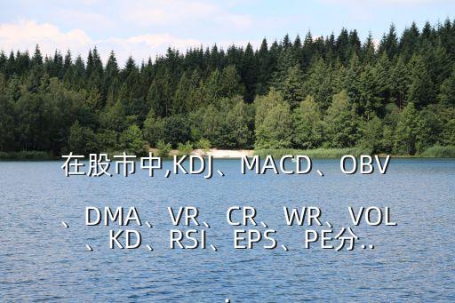 在股市中,KDJ、MACD、OBV、DMA、VR、CR、WR、VOL、KD、RSI、EPS、PE分...