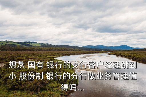 想從 國有 銀行的支行客戶經(jīng)理跳到小 股份制 銀行的分行做業(yè)務(wù)管理值得嗎...