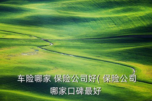 車險(xiǎn)哪個(gè)保險(xiǎn)公司好,太平洋和平安車險(xiǎn)哪個(gè)保險(xiǎn)公司好
