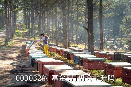 003032的 基金5月仍會(huì)上升嗎