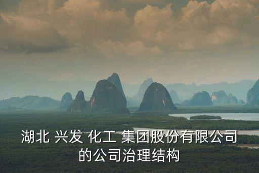 興發(fā)化工集團招標(biāo),山西潞安化工集團招標(biāo)網(wǎng)