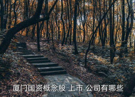  廈門國(guó)資概念股 上市 公司有哪些