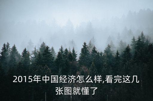 2015年中國經(jīng)濟(jì)怎么樣,看完這幾張圖就懂了
