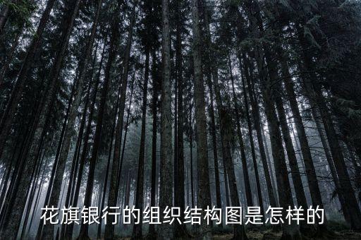  花旗銀行的組織結構圖是怎樣的