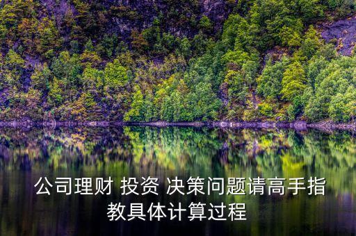 公司金融學關于投資決策的題目