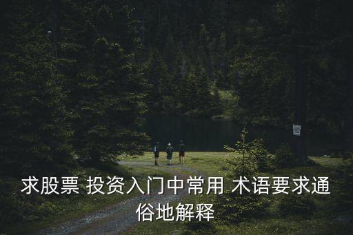 求股票 投資入門中常用 術(shù)語(yǔ)要求通俗地解釋
