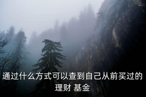 通過什么方式可以查到自己從前買過的理財 基金