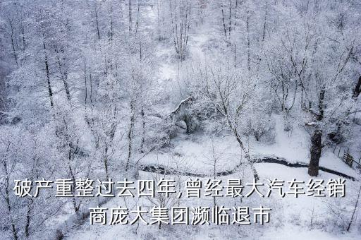 破產(chǎn)重整過(guò)去四年,曾經(jīng)最大汽車經(jīng)銷商龐大集團(tuán)瀕臨退市