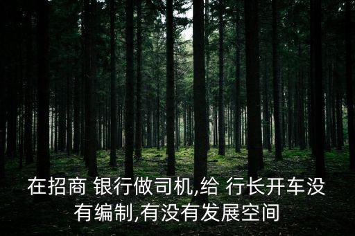 在招商 銀行做司機(jī),給 行長(zhǎng)開(kāi)車沒(méi)有編制,有沒(méi)有發(fā)展空間