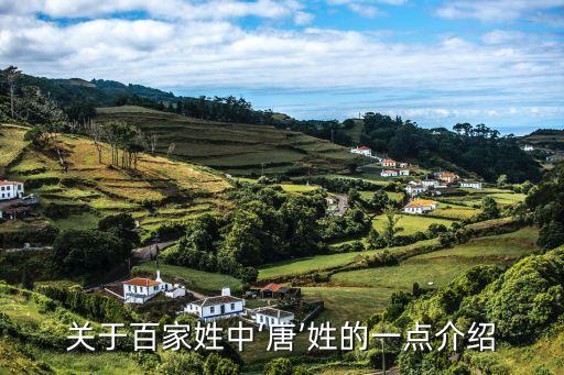 唐氏中國投資,唐氏在中國有多少人