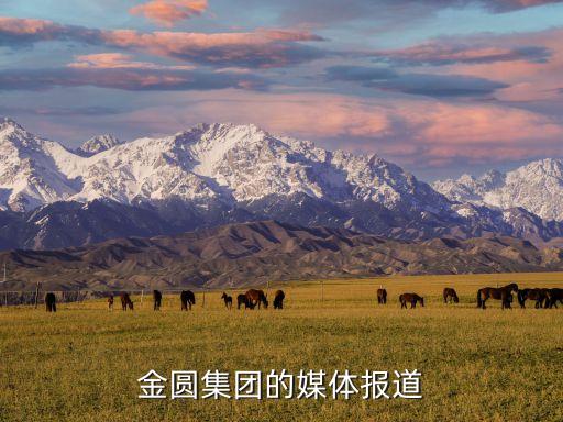 金圓集團(tuán)的媒體報(bào)道