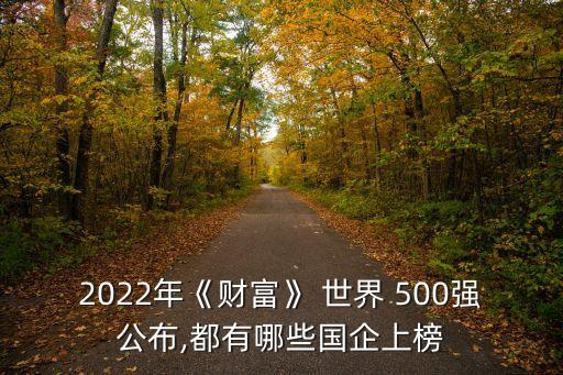 2022年《財富》 世界 500強公布,都有哪些國企上榜