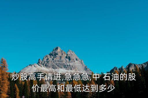 中國(guó)石油股票的合理價(jià)位是多少