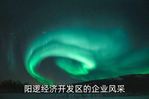 陽邏經(jīng)濟開發(fā)區(qū)的企業(yè)風(fēng)采