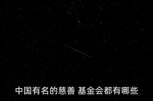 國內(nèi)大型基金會,國內(nèi)基金會的發(fā)展現(xiàn)狀