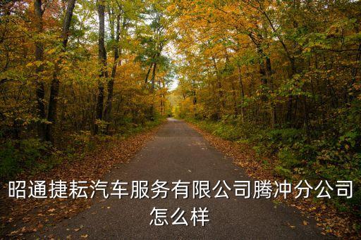 昭通捷耘汽車服務有限公司騰沖分公司怎么樣