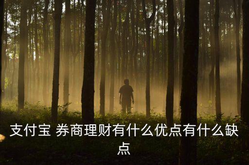 支付寶 券商理財(cái)有什么優(yōu)點(diǎn)有什么缺點(diǎn)