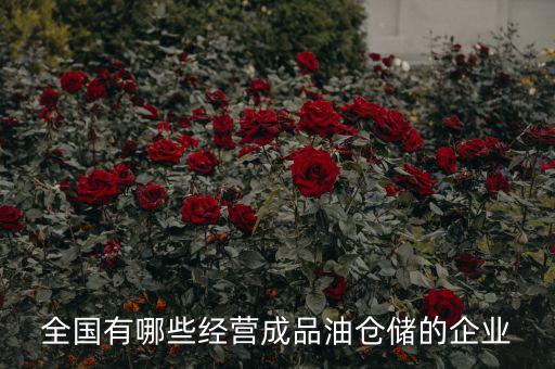 全國(guó)有哪些經(jīng)營(yíng)成品油倉(cāng)儲(chǔ)的企業(yè)
