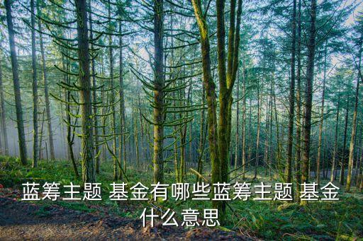 投資藍籌股的基金有哪些,優(yōu)質(zhì)藍籌股基金有哪些