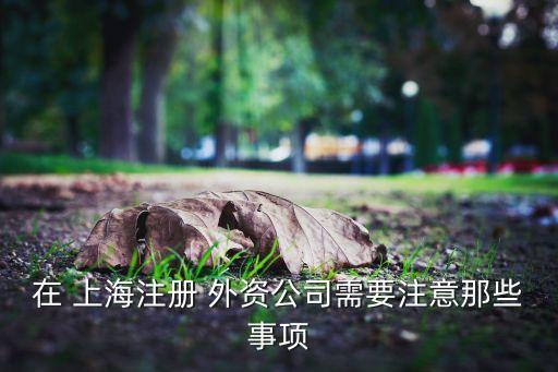 上海外資審批,上海演出審批公示
