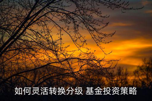 如何靈活轉(zhuǎn)換分級(jí) 基金投資策略