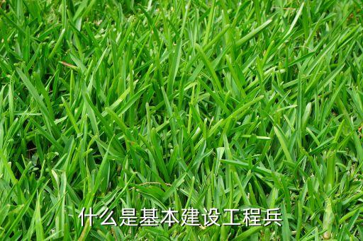 什么是基本建設(shè)工程兵