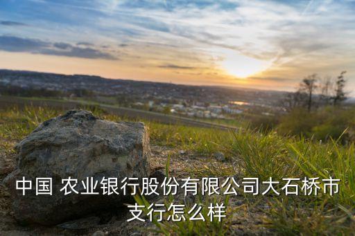 中國 農(nóng)業(yè)銀行股份有限公司大石橋市支行怎么樣
