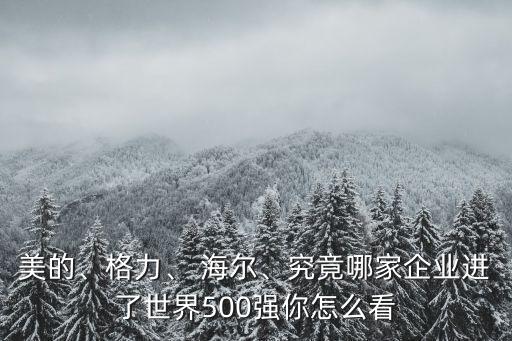 美的、格力、 海爾、究竟哪家企業(yè)進(jìn)了世界500強(qiáng)你怎么看