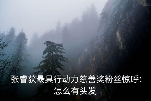 張?；饦I(yè)績,2022基金業(yè)績排行榜