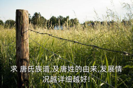 求 唐氏族譜,及唐姓的由來,發(fā)展情況越詳細(xì)越好!