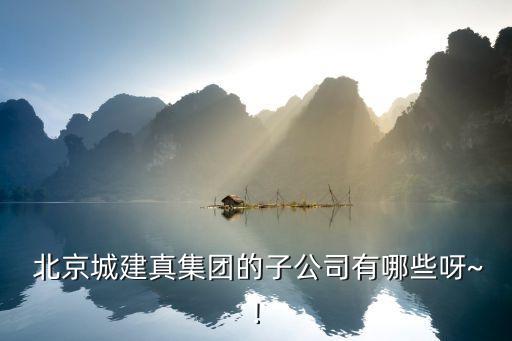  北京城建真集團的子公司有哪些呀~!